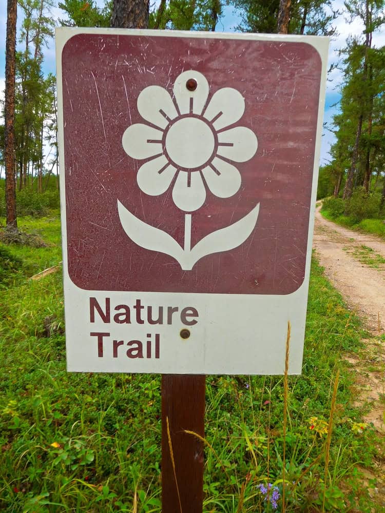 Wooden nature trail sign surrounded by trees and forest path in a U.S. National Park