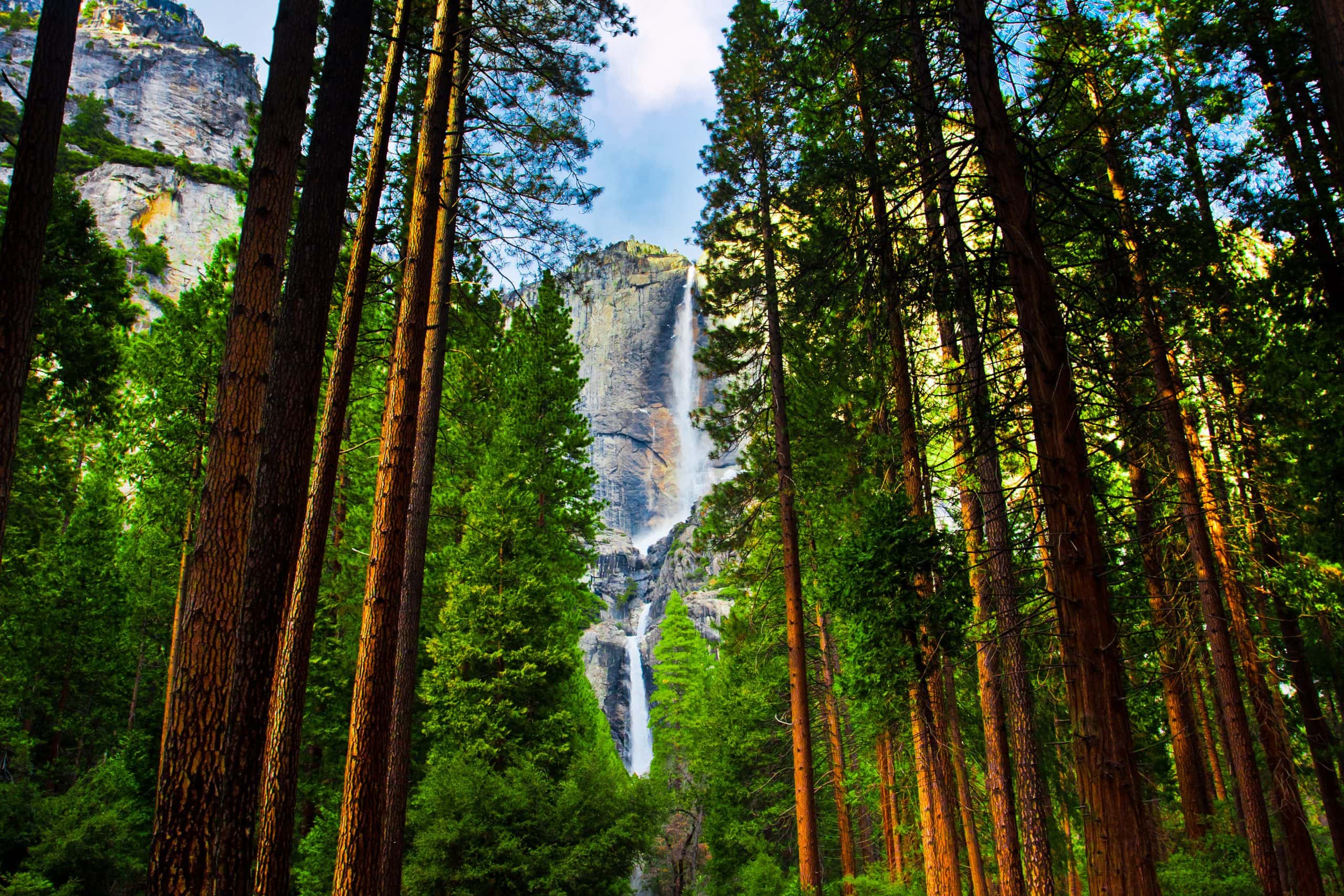 Majestic view of Yosemite Falls cascading down granite cliffs surrounded by lush forest in Yosemite National Park