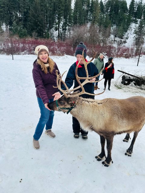Woman feeding a reindeer at the snowy Leavenworth Reindeer Farm in Washington