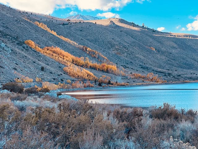 Golden aspens reflecting in Grant Lake along the June Lake Loop in California during peak fall foliage, with mountains glowing under a bright blue sky