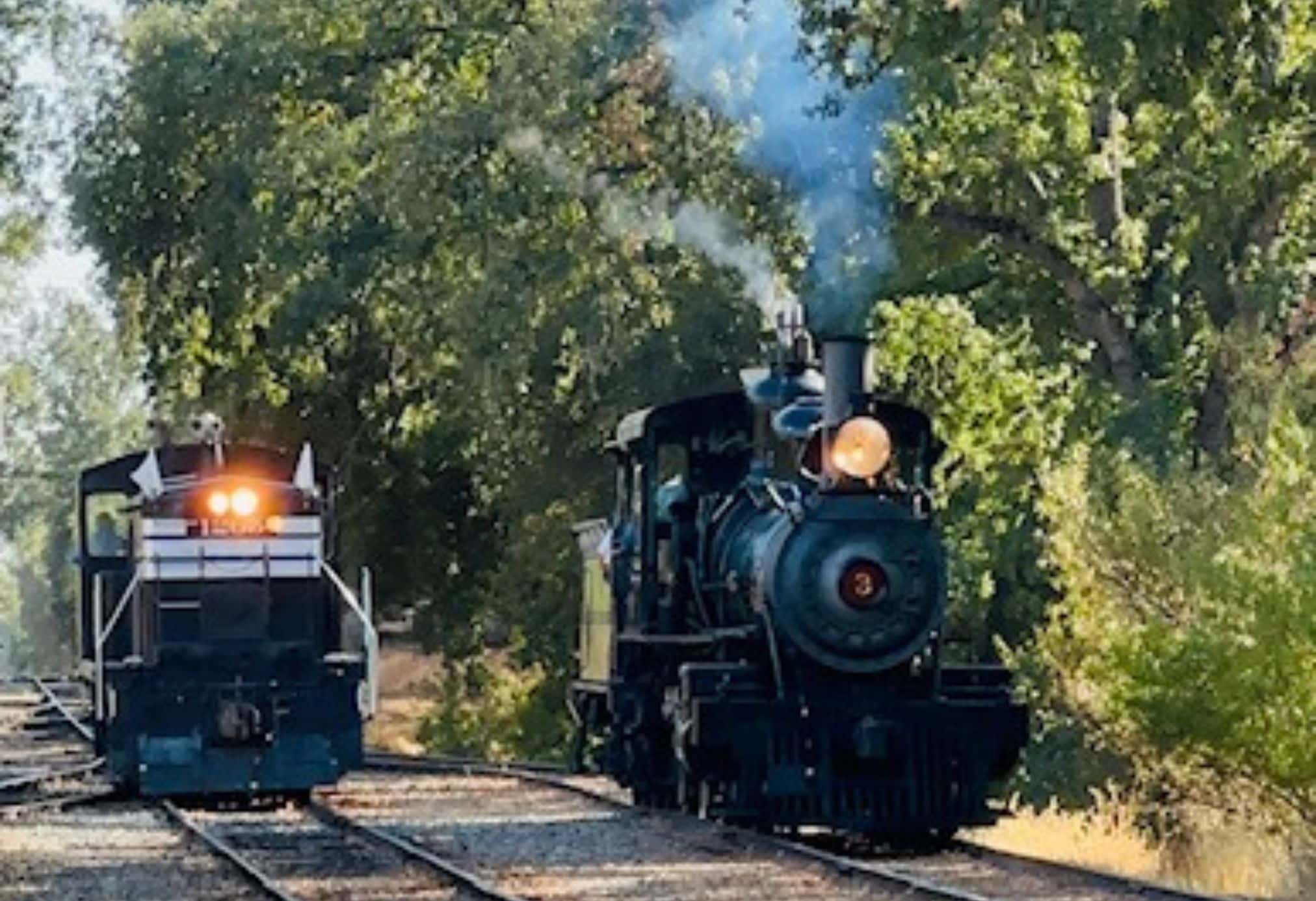 Historic steam locomotive No. 3, the famous Movie Train at Railtown 1897 State Historic Park in Jamestown, California, steaming down the tracks surrounded by oak trees