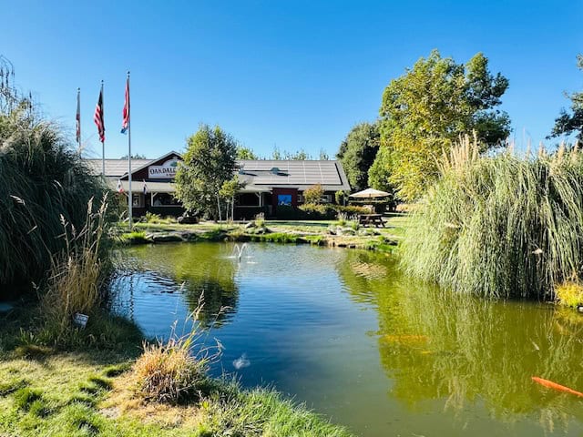 Scenic pond view at Oakdale Cheese Factory in Oakdale, California, surrounded by lush greenery and American flags on a sunny day