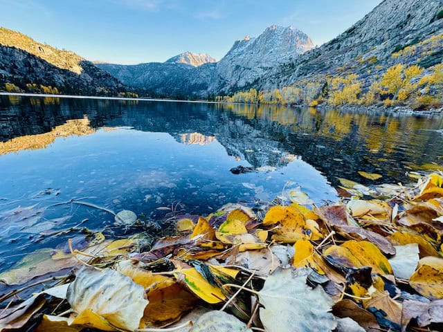 Fall colors at Silver Lake reflecting on calm mountain water in the Eastern Sierra