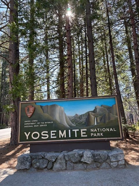 Yosemite National Park entrance sign surrounded by tall pine trees on a sunny day