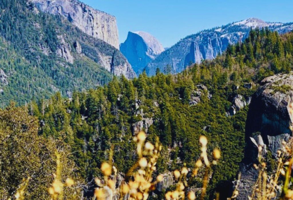 Yosemite National Park, Half Dome viewpoint, California road trip, scenic overlook, day trip itinerary