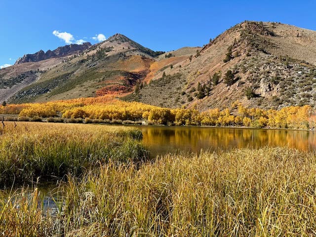 Brilliant fall foliage surrounding North Lake near Bishop, California, with golden aspens reflecting in the clear alpine water beneath the Sierra Nevada peaks.