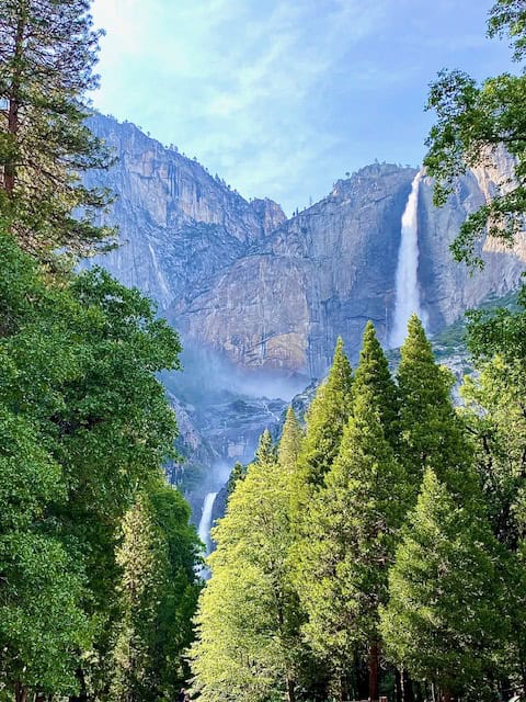 Yosemite Falls flowing down the granite cliffs in Yosemite National Park, framed by tall green pine trees and mist rising in the morning light