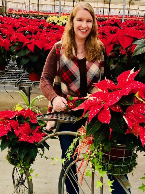 Woman smiling while standing beside a vintage bicycle decorated with red poinsettias inside a greenhouse filled with holiday poinsettia plants at Duarte Nursery