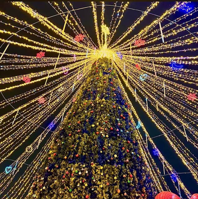 Towering Christmas tree at Sacramento’s Imaginarium covered in ornaments and surrounded by cascading golden light displays