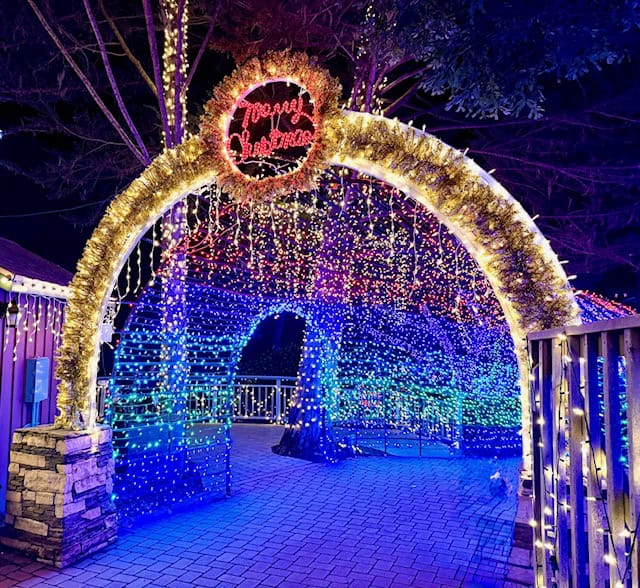 Christmas light tunnel at Cambria Pines Lodge, glowing with colorful holiday lights during the Cambria Christmas Market