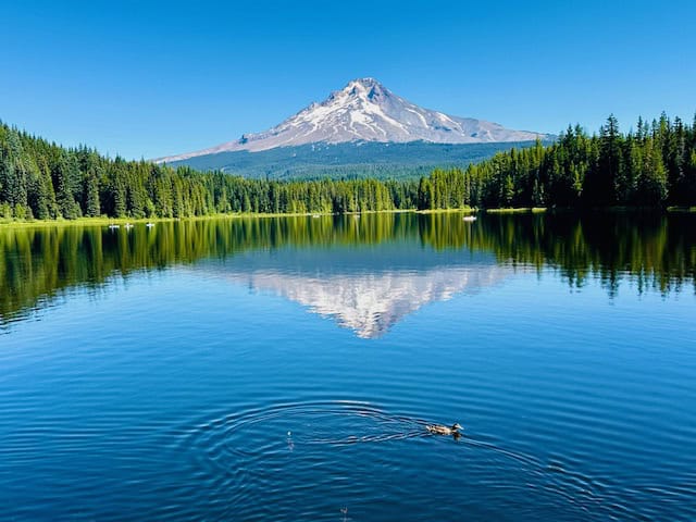 Mount Hood reflected in Trillium Lake on a clear summer day, surrounded by evergreen forest near Portland, Oregon