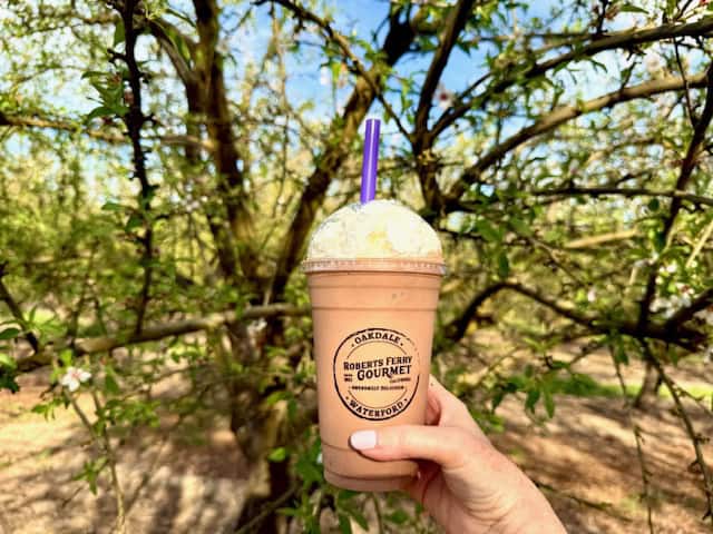 Almond butter milkshake from Roberts Ferry Gourmet near Modesto California during the Almond Blossom Cruise