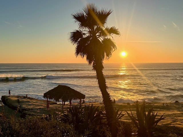Golden sunset over Windansea Beach in La Jolla with a silhouetted palm tree, ocean waves, and surfers along the California coast