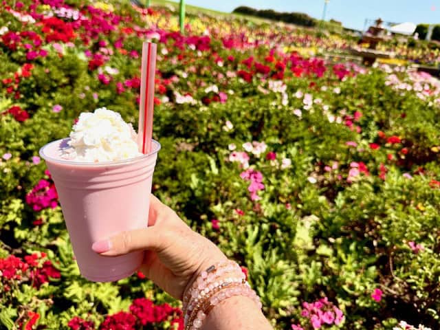 Strawberry milkshake held in front of colorful flower fields in Carlsbad California during spring bloom