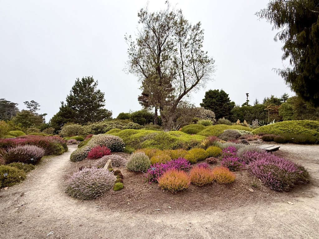 Colorful heather garden at Mendocino Coast Botanical Gardens during a girls weekend in Mendocino, California