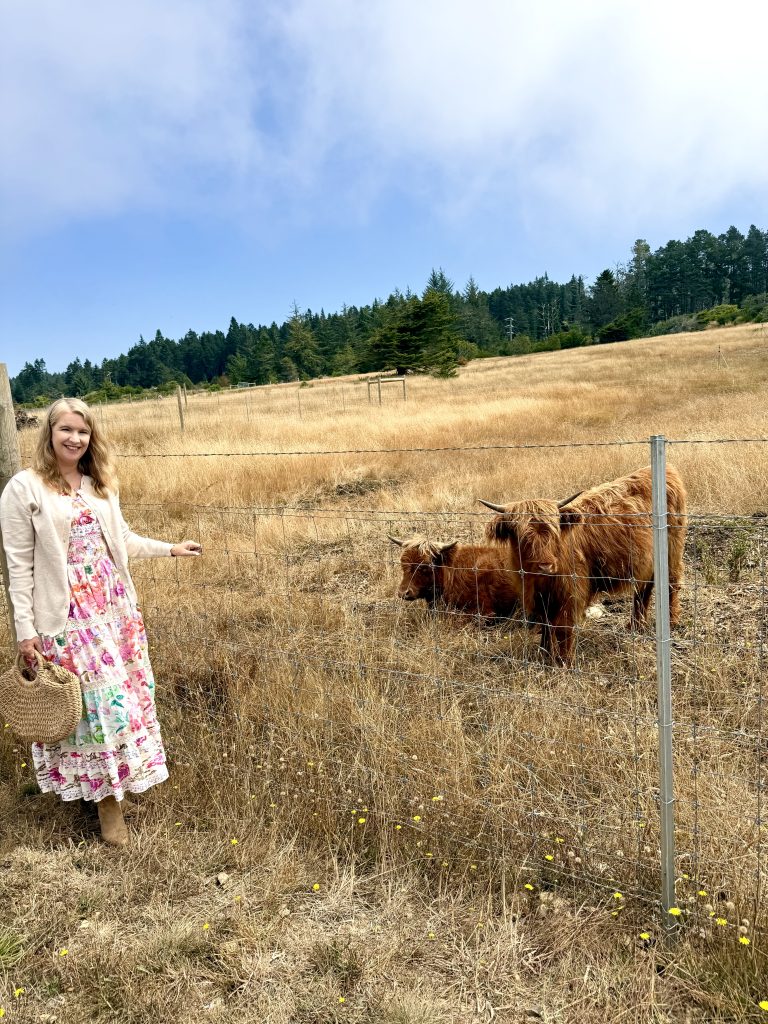 Woman visiting Highland cows at EarthSpoke Farms in Mendocino, California