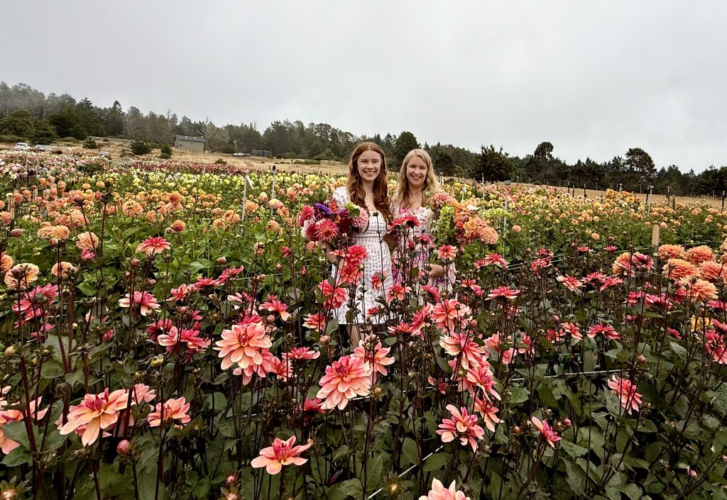 Two women holding colorful dahlia bouquets in the flower fields at EarthSpoke Farms in Mendocino, California